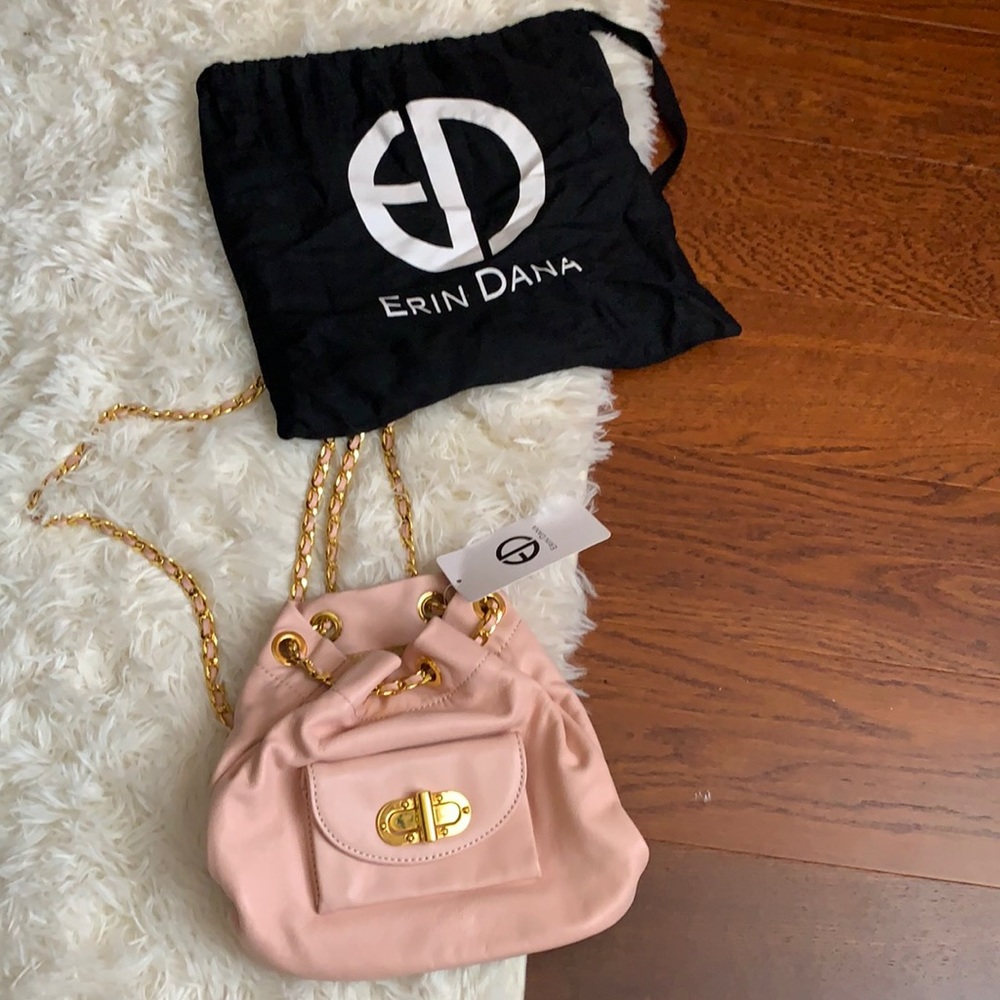 Erin Dana mini backpack purse